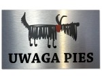 Tabliczka tablica Uwaga Pies aluminium na zewnątrz